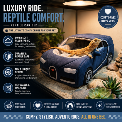 The Tappy Bed